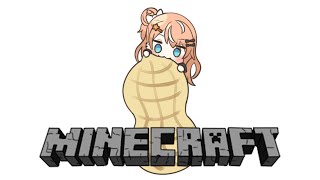 【Minecraft】 inにじ鯖 ｜いでぃおす村計画⛏️｜集まれるメンツコラボ⛏️【五十嵐梨花 / にじさんじ】