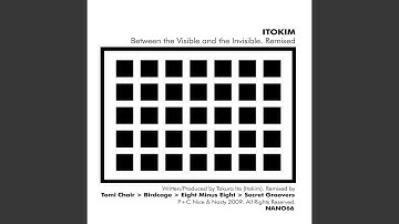 Between the Visible and Invisible (Birdcage Remix)
