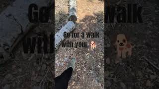 Get Off Your Phone and Walk Your Dog ☀️ | PNWGROOMS Mobile Grooming
