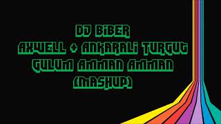 DJ Biber - Axwell & Ankarali Turgut - Gülüm Amman Amman (Mashup) Resimi