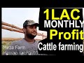 How to strat Cattle farm /How to much investment need to start Cattle farming/Qurbani key Janwar