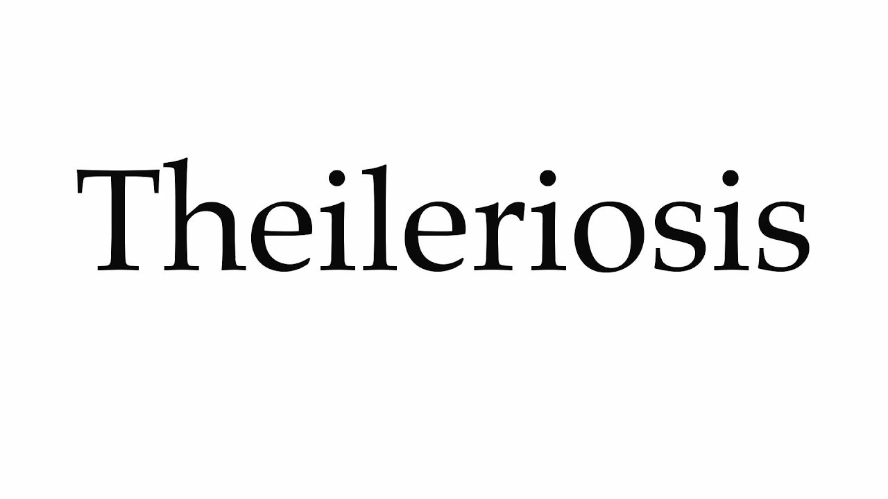 How to Pronounce Theileriosis
