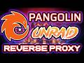 I Put Jellyfin Behind Pangolin on Unraid… WOW