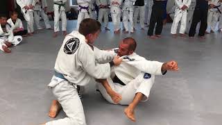 Ryron and Rener Gracie testing some bluebelts after their superseminar