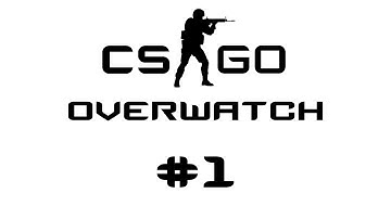 Pro or hacker? - cs go overwatch episode 1