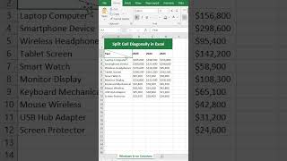 How to Split Cell Diagonally in Excel #excel #spreadsheets #exceltutorial #exceltricks #excelformula