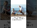 【神回】感情込めてボケてにアフレコしたらヤバすぎたｗｗｗｗ【第872弾】#shorts