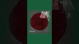 IIR — Ambient | 2026-04-27 #Shorts