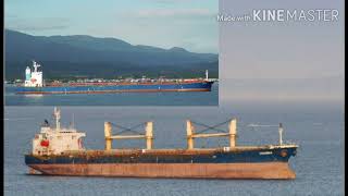 El Alfa Songs Youmna Jasmine 201 Subscribe My Youtube Channel