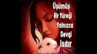 Ayrilik Treni̇ Ozhan Avci