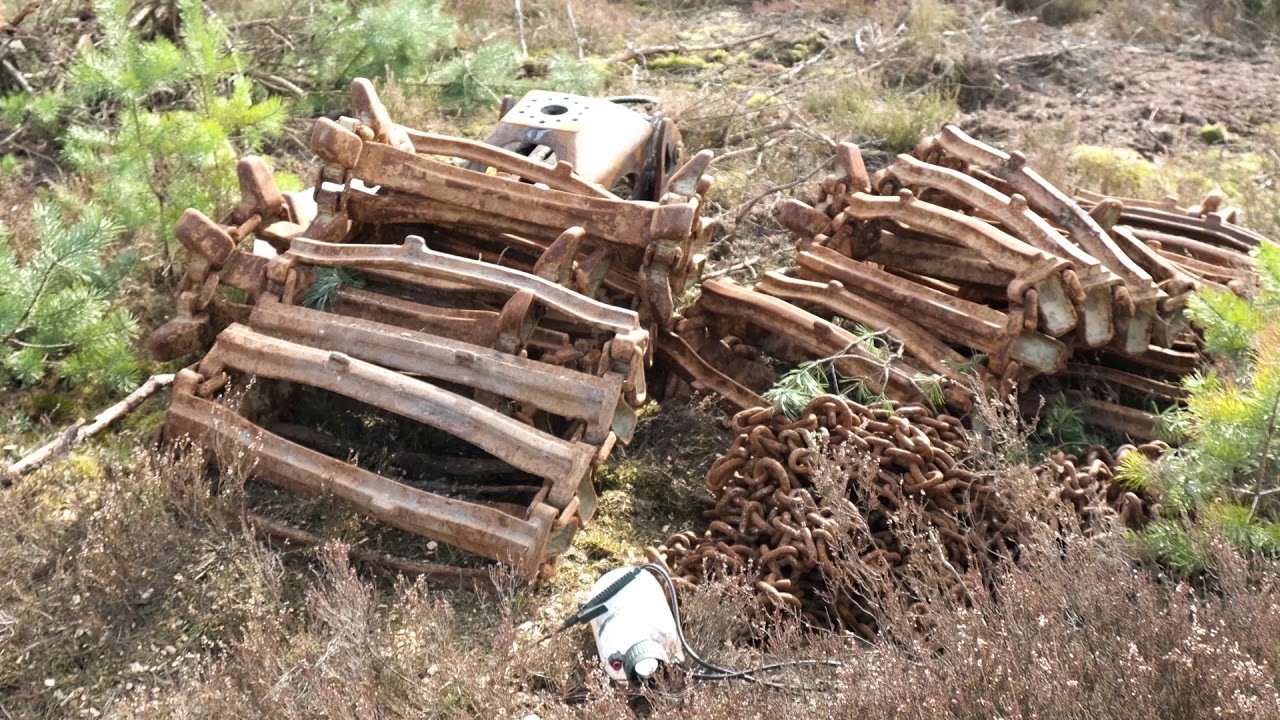 Sielmanns Naturlandschaft Tangersdorfer Heide - Naturschutzmaßnahmen für die Artenvielfalt