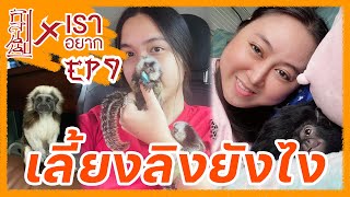 เราอยาก แนะนำลิงจิ๋ว 3 สายพันธุ์