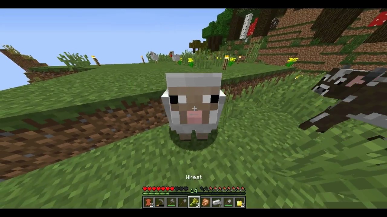 Darecraft SMP #1 Meklējam aitas