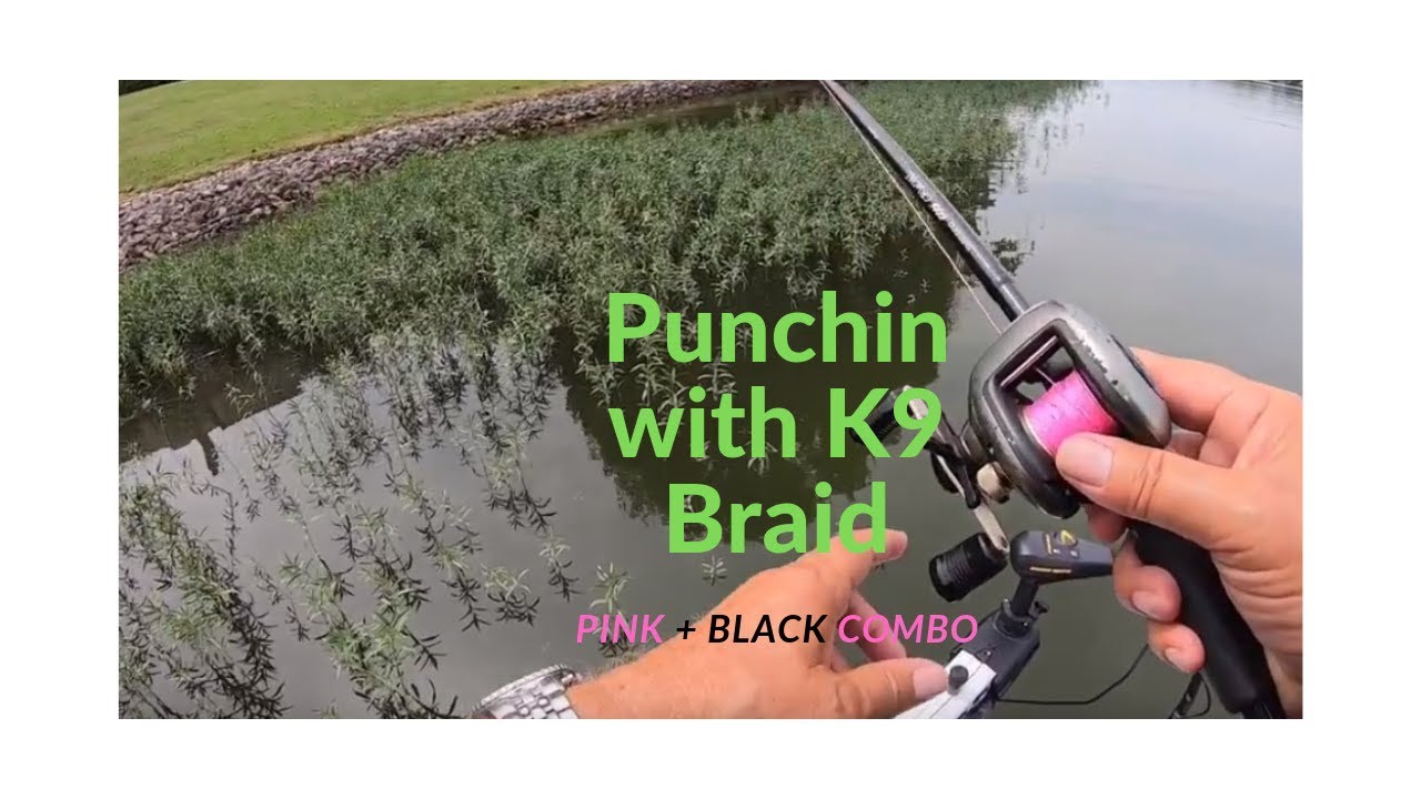 K9 Flipping Braid YouTube