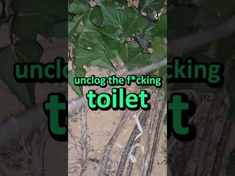 Michael owes Ludwig his life...