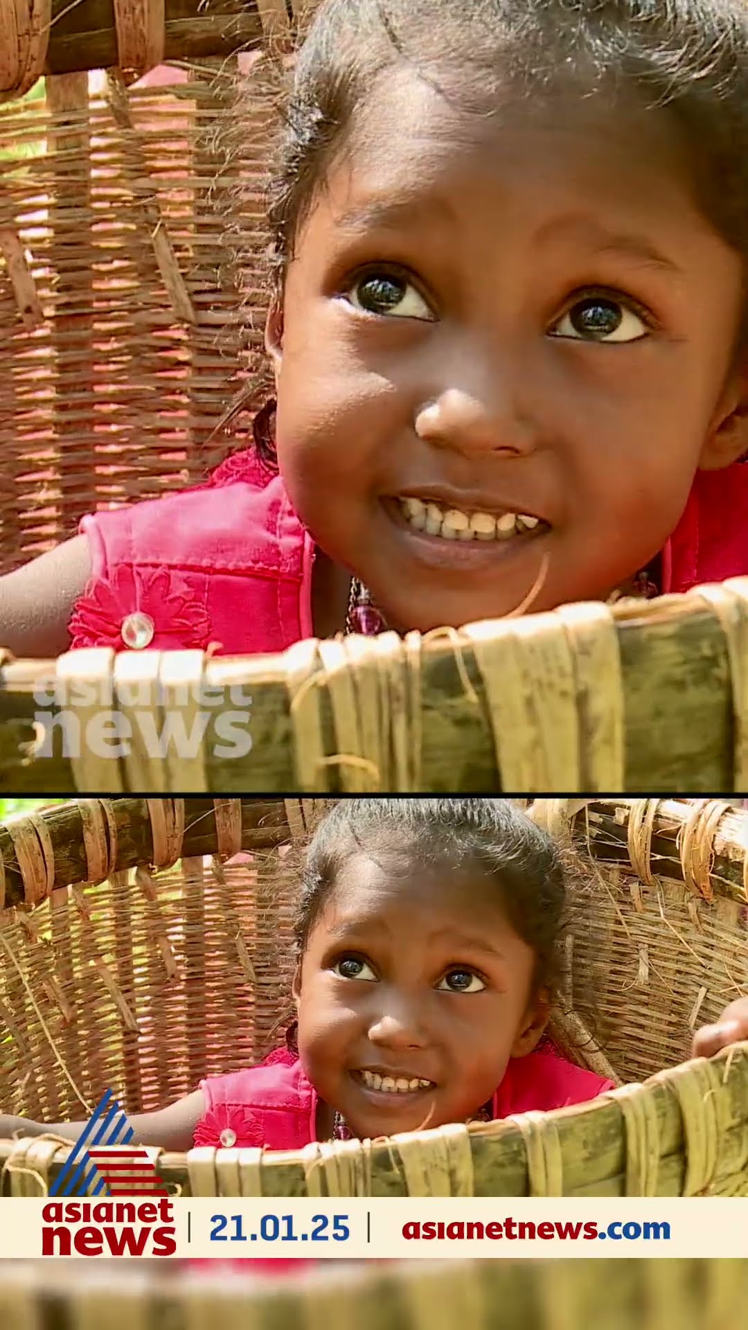 കാടാണ് എല്ലാം, പക്ഷേ... മുന്നിൽനിന്ന് വഴി നയിക്കാൻ മണിയില്ല