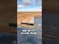 砂漠でダイブ!? 黒い膜が生んだ水の奇跡