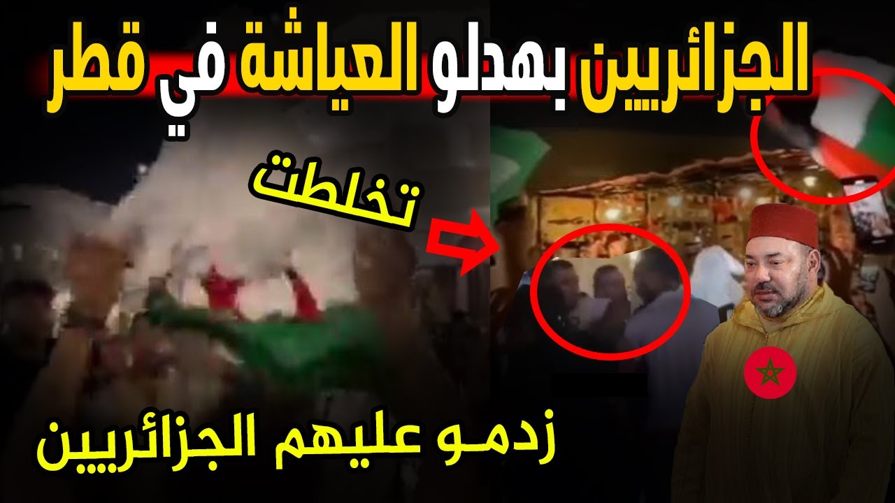 الجماهير الجزائرية تبهدل الجماهير المروكية في قطر بسبب فلسطين و سرقة اغاني الجزائرية في الملاعب