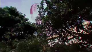 A 2D Animation Using Live Action Footage.