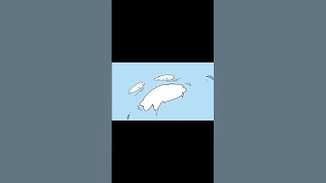 What came first? #animation #chicken #art #doodle #asmrvideo