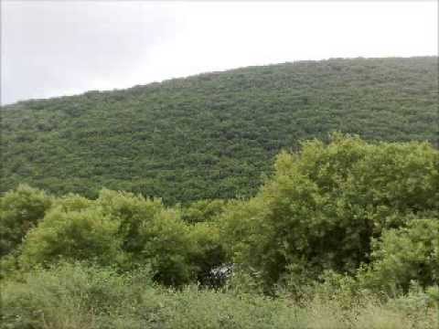 جان خليل يا بيتنا اللي خلف الضباب