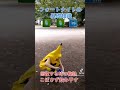 【再】フォートナイト基礎知識 回復編 #ミニポ #デカポ #フォートナイト #ピーリー #ゆっこの日常 #おはモニゆっこch #YouTube