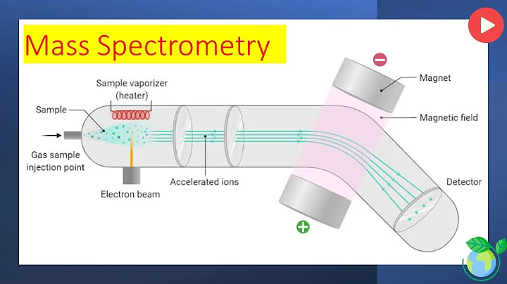 Mass Spectrometry 101: Understanding the Basics - Explained in 6 Minutes