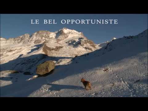 BA - Le Bel Opportuniste