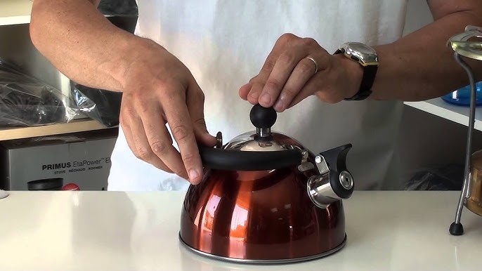 Las 9 mejores teteras para preparar un té delicioso