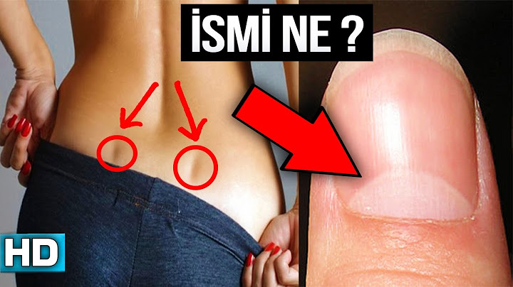 İsmini ve Ne İşe Yaradığını Bilmediğiniz 10 Vücut Kısmı