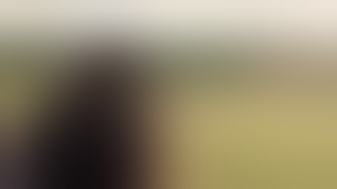 Stechkin APS with stock