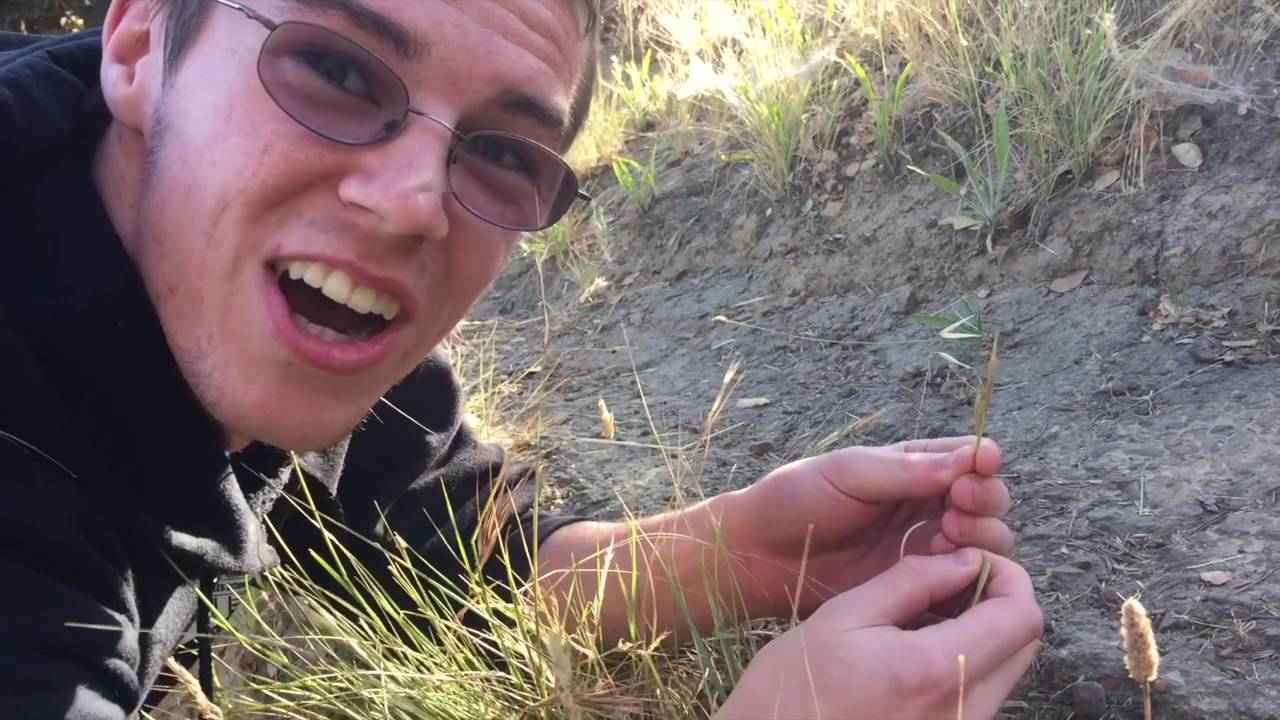 Apes Adventure Invasive Species Of Marin County Youtube intended for Types Of Fishing Apes Apes Adventure Invasive Species Of Marin County Youtube intended for Types Of Fishing Apes