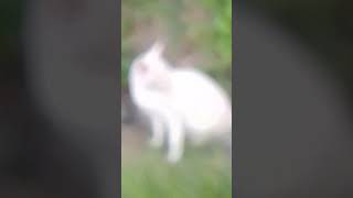 VID 20240113 183209