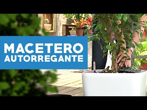 ¿Cómo usar y hacer un macetero autorregante?
