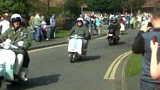 gingers egg run