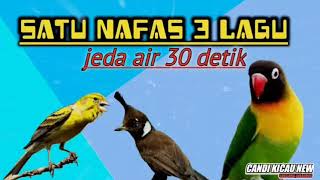 SATU NAFAS 3 LAGU 🔴 KENARI-LB-CILILIN jeda air 30 detik