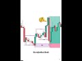 Do you want to dominate the forex trading industry?? Watch carefully #forex #forexstrategy #mdass