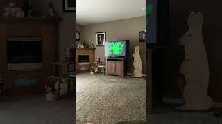 Opening To The Jungle Book 1997 Vhs Version 1