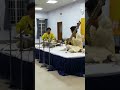 Ayan Sengupta ( Sitar) with Ashis Paul ( Tabla) #sitar  #ayansengupta #tabla