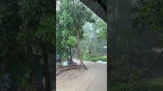 Heavy rain in the Village🌲🌧️🌿