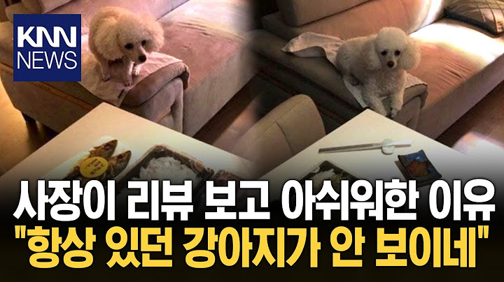 Why the guest review "Thank you for the review, but I'm disappointed" is special / KNN