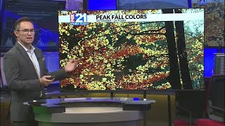 Peak times to view fall colors this season