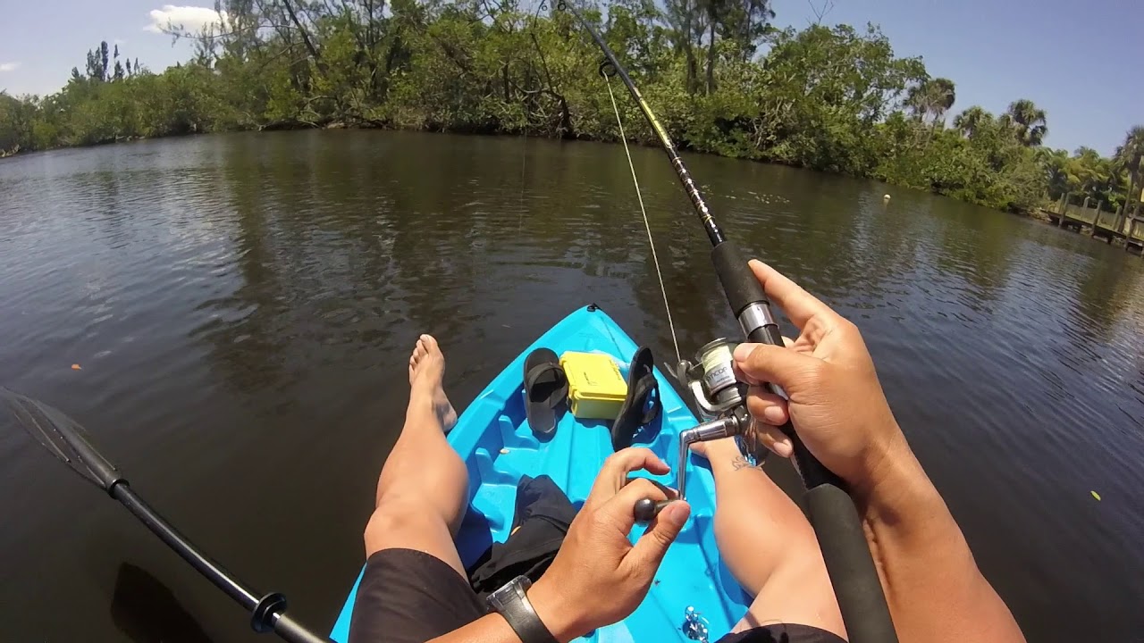 City Limits Fishing - Imperial River - Jack Crevalle #5
