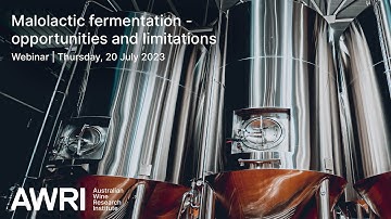 Malolactic fermentation   opportunities and limitations