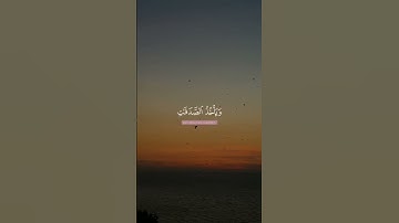 تلاوة هادئة تريح الأعصاب 😴🎧 القارئ: بشار سلامه سورة: التوبه 💙❤