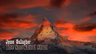 Jesse Gallagher - The Snowbird Strut