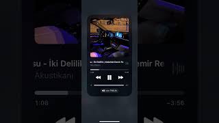 Sezen Aksu - İki Delilik (Remix) Resimi