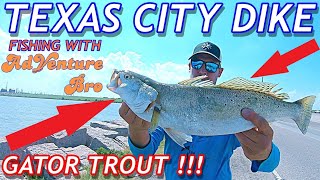 GATOR TROUT AT TEXAS CITY DIKE | FISHING GALVESTON TEXAS CITY DIKE | FISHING WITH ADVENTURE BRO SHOW