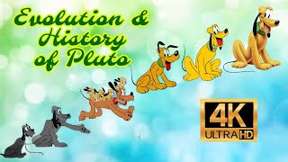 Evolution And History Of Pluto Dog