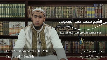 تلاوة طيبة لآيات من سورة النمل للشيخ محمد حمد أبودبوس | (Surat An-Naml (The Ant